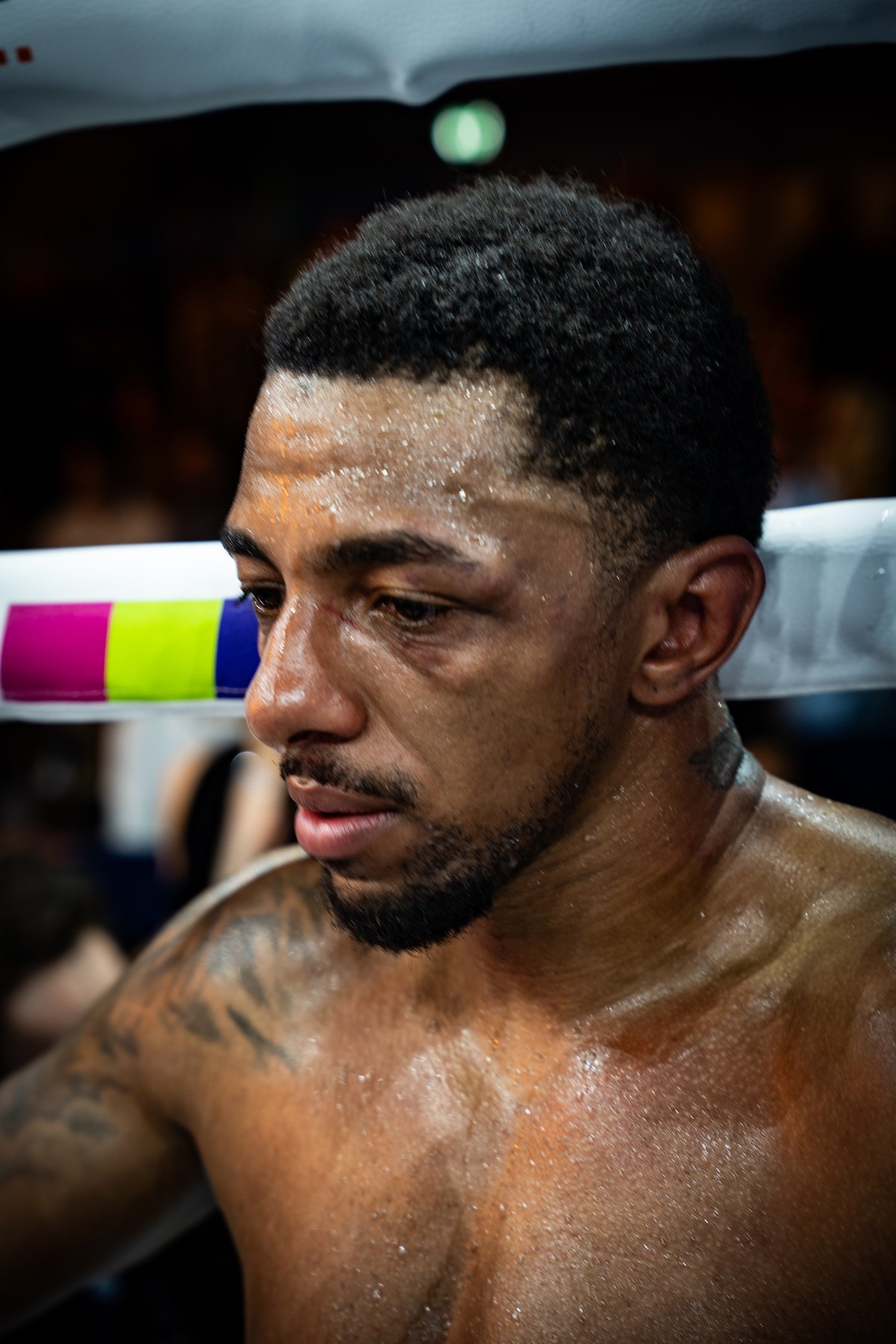 Shae Green, Boxer bei Primora Boxing
